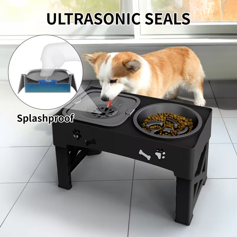 Adjustable Elevated Dog Double Bowls – Raised Slow Feeder & No-Spill Water Bowl Set with Non-Slip Stand | 5 Height Settings for Small, Medium & Large Dogs and Cats