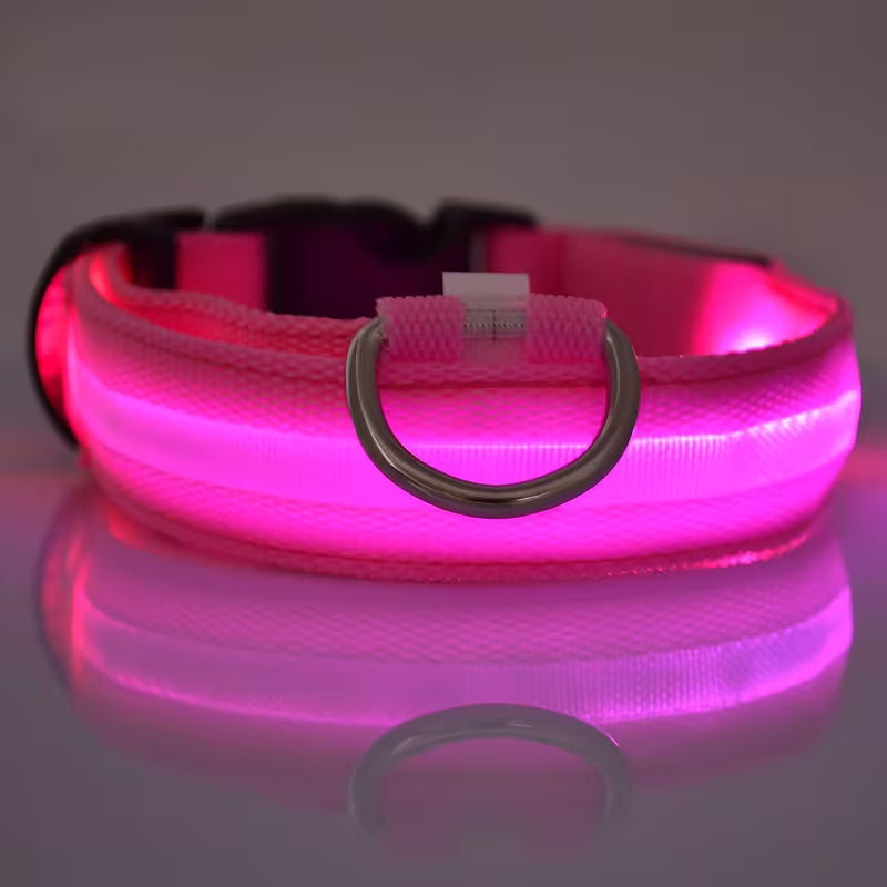 "Adjustable LED Glow Dog Collar for Night Safety"